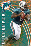 Daunte Culpepper Dolphin Poster