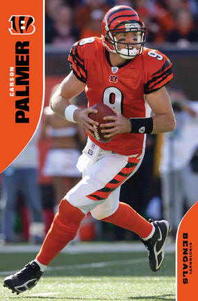 Carson Palmer Bengals Poster