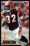 Rudi Johnson Bengals Poster