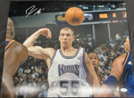 Sacramento Kings Jason Williams Signed 16x20 with JSA COA