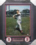 Boston Red Sox Ted Williams SIGNED 16x20 Framed Photo PSA COA