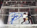 Mick Foley WWE Signed 8x10 Cage Photo w/ Undertaker (Blue Ink) JSA COA