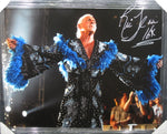 Large Framed Ric Flair SIGNED Canvas JSA COA